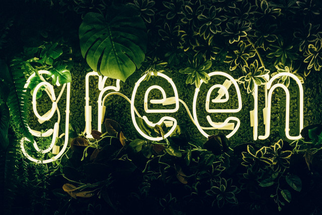 gruene-pflanzen-im-dunkeln-mit-leuchtreklame-green